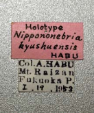 Nebria (Nippononebria) kyushuensis Habu, 1958 (Label) Nebria (Nippononebria) kyushuensis Habu, 1958 (Label)