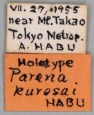 Parena kurosai Habu, 1967 (Label) Parena kurosai Habu, 1967 (Label)