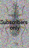 Chlaenius (Chlaenioctenus) cf tingaudi Lassalle, 2015 Chlaenius (Chlaenioctenus) cf tingaudi Lassalle, 2015