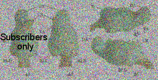 Platyderus (Platyderus) gallaecus Jeanne, 1970 Platyderus (Platyderus) gallaecus Jeanne, 1970