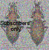 Carabus (Coptolabrus) elysii pulcher Kleinfeld, 1997 Carabus (Coptolabrus) elysii pulcher Kleinfeld, 1997