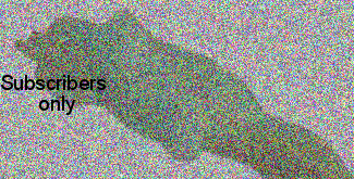 Platyderus (Platyderus) varians Schaufuss, 1862 Platyderus (Platyderus) varians Schaufuss, 1862