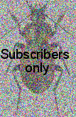 Carabus (Carabus) stscheglowi Mannerheim, 1827 Carabus (Carabus) stscheglowi Mannerheim, 1827