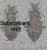 Carabus (Isiocarabus) hunanicola liangshanicus (as dreuxi liangshanicus) HT PT Kleinfeld, 1998 Carabus (Isiocarabus) hunanicola liangshanicus (as dreuxi liangshanicus) HT PT Kleinfeld, 1998