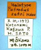 Apatrobus (Apatrobus) satoui (Habu, 1976) (Label)