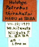 Apatrobus (Apenetretus) shirahatai (Habu et Baba, 1960) (Label)