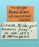 Bembidion (Neoemphanes) shimoyamai Habu, 1978 (Label)