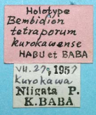 Bembidion (Plataphodes) tetraporum kurokawense Habu & Baba, 1958 (Label)