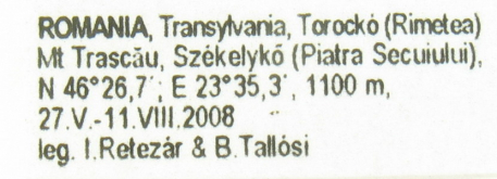 Carabus (Pachystus) cavernosus rozneri Retezár & Gy. Szél, 2013