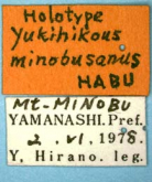 Yukihikous minobusanus Habu, 1978