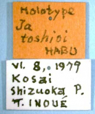 Ja toshioi Habu, 1981a: 1