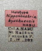 Nebria (Nippononebria) kyushuensis Habu, 1958 (Label)