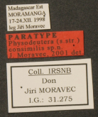 Physodeutera (Physodeutera) consimilis J.Moravec, 2002