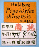 Pogonistes chinensis Habu, 1986 (Label)