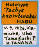 Tachys (Paratachys) kaorutanakai Habu, 1977 (Label)