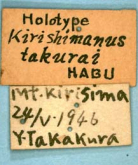 Trephionus takakurai (Habu, 1954) (Label)