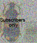 Craspedophorus (Adischissus) angularis (Schaum, 1863) Craspedophorus (Adischissus) angularis (Schaum, 1863)