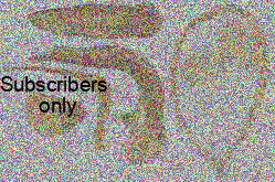 Amara (Bradytus) apricaria (Paykull, 1790) Amara (Bradytus) apricaria (Paykull, 1790)