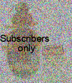 Craspedophorus (Microschemus) diversopictus (Basilewsky, 1949) Craspedophorus (Microschemus) diversopictus (Basilewsky, 1949)