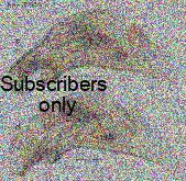 Bembidion (Trepanedoris) kieranae Maddison & Sproul, 2026 Bembidion (Trepanedoris) kieranae Maddison & Sproul, 2026