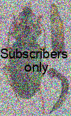 Chlaenius (Pachydinodes) mederici Kirschenhofer, 2015 Chlaenius (Pachydinodes) mederici Kirschenhofer, 2015