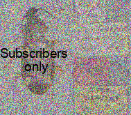 Craspedophorus (Adischissus) amoenulus (Peringuey, 1896) Craspedophorus (Adischissus) amoenulus (Peringuey, 1896)