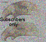 Bembidion (Trepanedoris) endeca Maddison & Sproul, 2026 Bembidion (Trepanedoris) endeca Maddison & Sproul, 2026