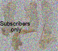 Amara (Bradytus) apricaria (Paykull, 1790) Amara (Bradytus) apricaria (Paykull, 1790)