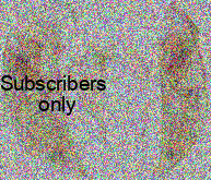 Bembidion (Asioperyphus) sordidum (Kirby, 1837) Bembidion (Asioperyphus) sordidum (Kirby, 1837)