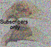 Bembidion (Trepanedoris) clemens Casey, 1918 Bembidion (Trepanedoris) clemens Casey, 1918