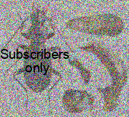 Pterostichus (Cryobius) badzhaliensis Sundukov, 2025 Pterostichus (Cryobius) badzhaliensis Sundukov, 2025