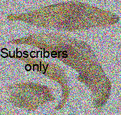 Calathus (Neocalathus) peltatus Kolenati, 1845: 42 Calathus (Neocalathus) peltatus Kolenati, 1845: 42