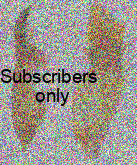 Amara (Bradytus) apricaria (Paykull, 1790) Amara (Bradytus) apricaria (Paykull, 1790)