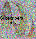 Zabrus (Pelor) ovalis Fairmaire, 1859 Zabrus (Pelor) ovalis Fairmaire, 1859